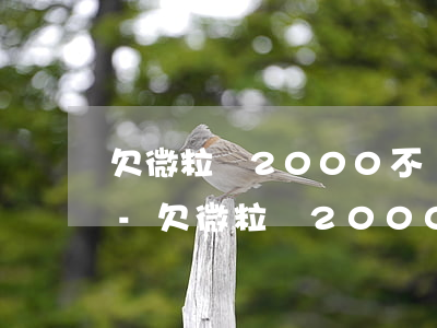 欠微粒貸2000不還會(huì)怎么樣-欠微粒貸2000不還會(huì)怎么樣嗎