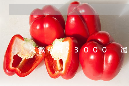 欠微粒貸23000沒還(微粒貸欠1500)