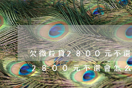 欠微粒貸2800元不還會怎么樣(欠微粒貸2800元不還會怎么樣)