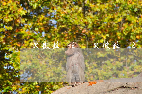 欠微粒貸2萬(欠微粒貸2萬會被起訴嗎)