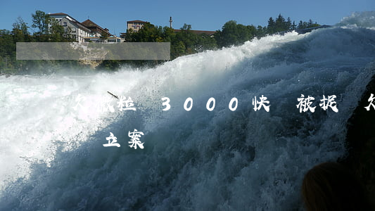 欠微粒貸3000快會被捉嗎(欠微粒貸三萬會立案嗎)
