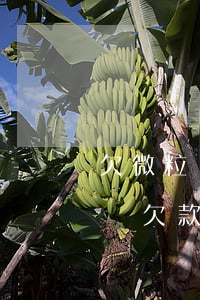 欠微粒貸3500會(huì)起訴嘛(微粒貸欠款6000會(huì)被起訴)