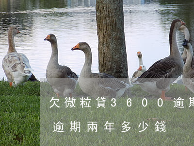 欠微粒貸3600逾期兩年(微粒貸3000逾期兩年多少錢)