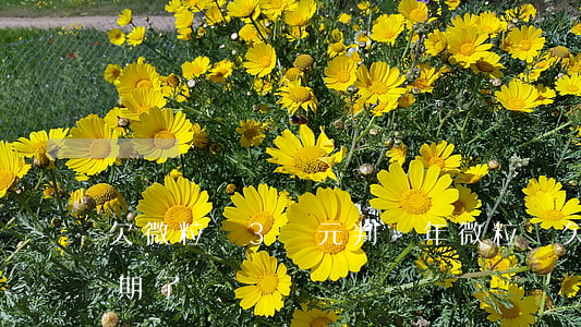 欠微粒貸3萬元判幾年(微粒貸欠款3萬多,逾期了)
