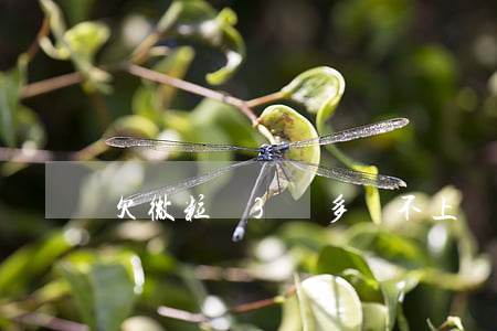 欠微粒貸3萬多還不上會怎么樣-