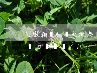 欠微粒貸3萬(欠微粒貸3萬暫時(shí)無力償還會(huì)凍結(jié)銀行卡嗎?)