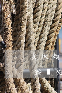 欠微粒貸4000會(huì)被上門嗎(微粒貸欠款2個(gè)月 4000多會(huì)上門?)