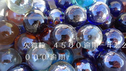 欠微粒貸4500逾期一年怎么辦(微粒貸5000逾期)