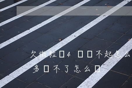 欠微粒貸4萬還不起怎么辦(微粒貸欠款5萬多還不了怎么辦)