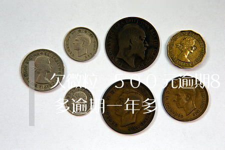 欠微粒貸500元逾期8天(微粒貸欠款5萬多,逾期一年多)