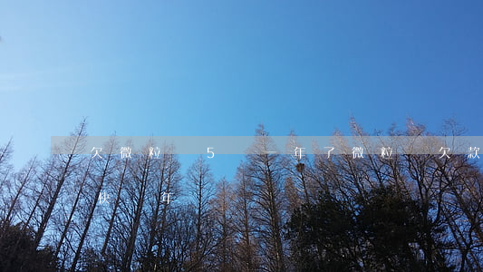 欠微粒貸5萬一年了(微粒貸欠款15萬不還快兩年)