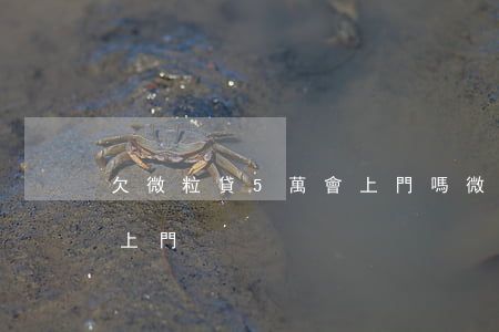 欠微粒貸5萬會上門嗎(微粒貸逾期五千多要上門)