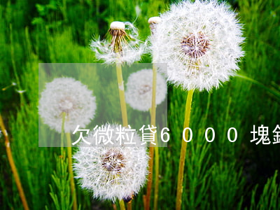 欠微粒貸6000塊錢(微粒貸13000)