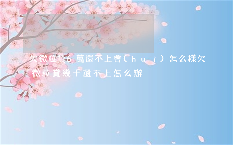 欠微粒貸6萬還不上會(huì)怎么樣(欠微粒貸幾千還不上怎么辦)