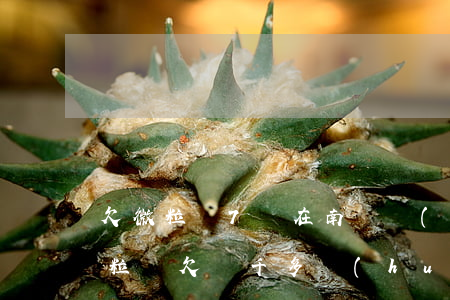 欠微粒貸7萬在南寧會(huì)上門嗎(微粒貸欠兩千多會(huì)上門)