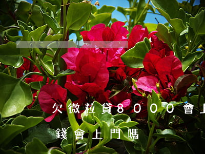 欠微粒貸8000會上門嗎(微粒貸欠幾千塊錢會上門嗎?)