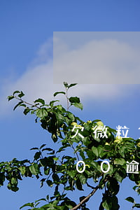 欠微粒貸8000逾期900天(微粒貸欠800逾期是不是真的會上門)