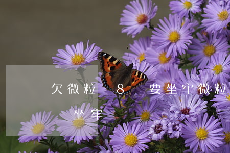 欠微粒貸8萬要坐牢(微粒貸欠款8萬逾期了會坐牢嗎)