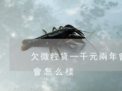欠微粒貸一千元兩年會怎樣(微粒貸兩萬不還會怎么樣)