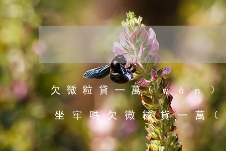 欠微粒貸一萬(wàn)五千會(huì)坐牢嗎(欠微粒貸一萬(wàn)會(huì)不會(huì)起訴)