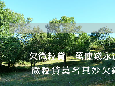 欠微粒貸一萬塊錢永遠(yuǎn)還不完(微粒貸莫名其妙欠錢了)