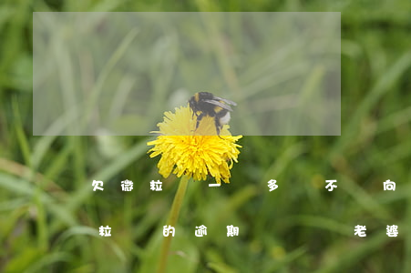 欠微粒貸一萬多該不該向老婆坦白(老公欠微粒貸的逾期沒還對老婆有影響不)
