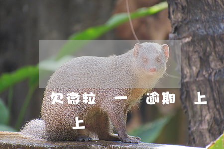 欠微粒貸一萬逾期會上門嗎(微粒貸逾期1萬會上門嗎)