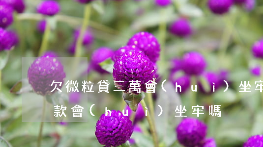 欠微粒貸三萬會(huì)坐牢嗎(微粒貸欠款會(huì)坐牢嗎?)