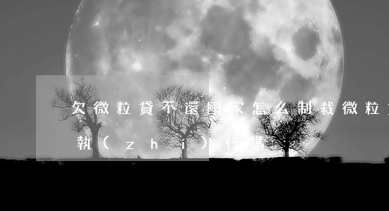 欠微粒貸不還國家怎么制裁(微粒貸會被強制執(zhí)行嗎)