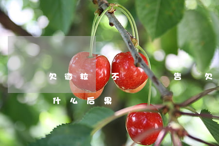 欠微粒貸不還會給告嗎(欠微粒貸還不上會是什么后果)