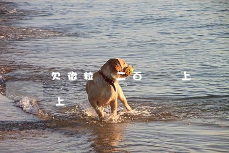 欠微粒貸二百塊錢上門嗎(欠微粒貸二百塊錢上門嗎)