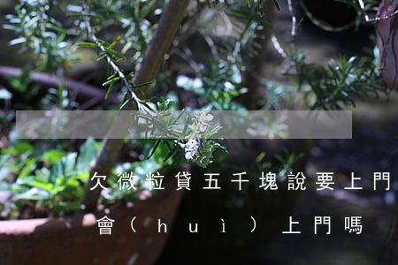 欠微粒貸五千塊說要上門(微粒貸欠幾千塊錢會(huì)上門嗎?)