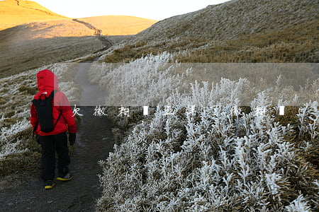 欠微粒貸五年了(微粒貸5年沒(méi)還)