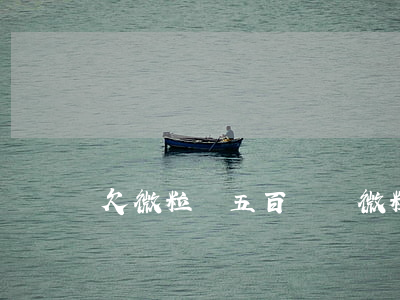 欠微粒貸五百塊錢(微粒貸欠幾百塊錢開始威脅)