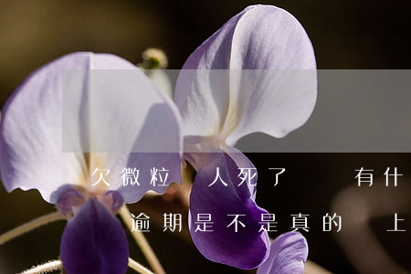 欠微粒貸人死了沒還有什么后果(人死了微粒貸逾期是不是真的會上門)