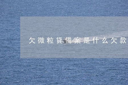 欠微粒貸備案是什么(欠款微粒貸)