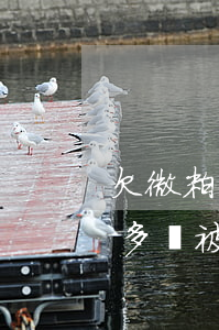 欠微粒貸兩千塊會不會被追債(微粒貸欠一萬多會被起訴么)