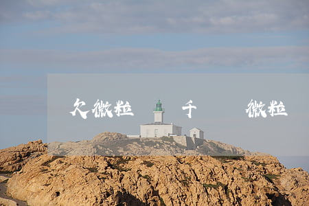 欠微粒貸兩千塊錢(微粒貸欠款2萬5)