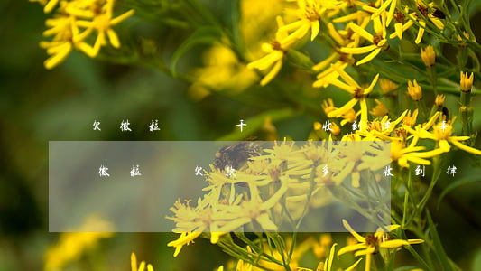 欠微粒貸兩千塊錢收到律師事務(wù)所(微粒貸欠款兩萬多點收到律師函怎么辦)