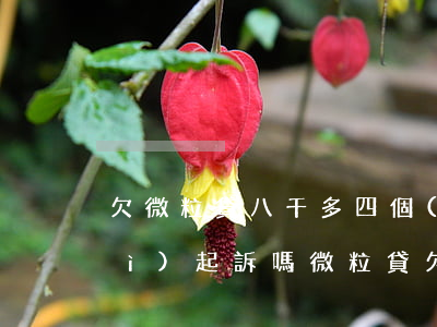 欠微粒貸八千多四個(gè)月了會(huì)起訴嗎(微粒貸欠了兩千多會(huì)起訴嗎)