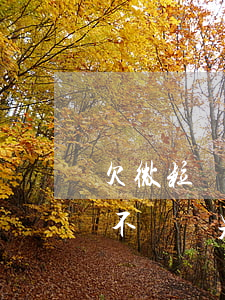 欠微粒貸 另一個微信會扣款(微粒貸逾期了會不會從另外一個微信扣錢)