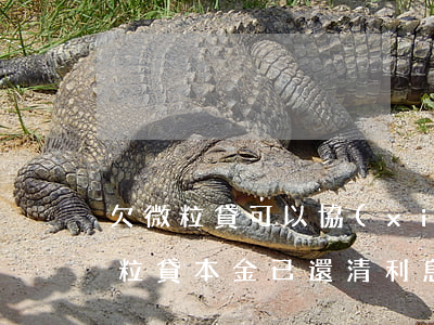 欠微粒貸可以協(xié)商減免本金嗎(微粒貸本金已還清利息可以協(xié)商嗎)