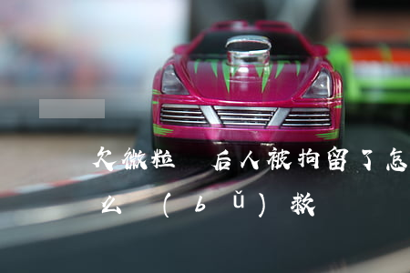 欠微粒貸后人被拘留了怎么辦(欠了微粒貸怎么補(bǔ)救)