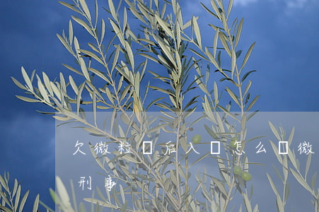 欠微粒貸后入獄怎么辦(微粒貸無法還款會被刑事)