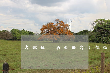 欠微粒貸后去世(欠了微粒貸)
