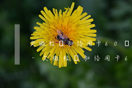 欠微粒貸和信用卡60萬(wàn)還不了-欠微粒貸和信用卡60萬(wàn)還不了怎么辦