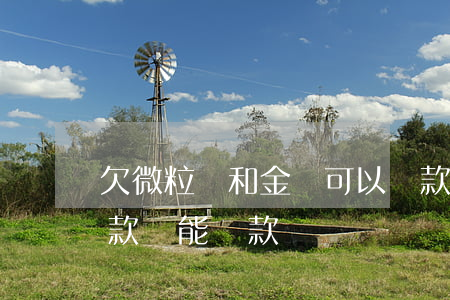 欠微粒貸和金條可以貸款買車嗎(微粒貸有貸款還能貸款買車嗎)