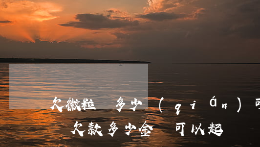 欠微粒貸多少錢(qián)可以判刑(微粒貸欠款多少金額可以起訴)