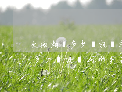 欠微粒貸多少錢就變成刑事案件-欠微粒貸多少錢就變成刑事案件了