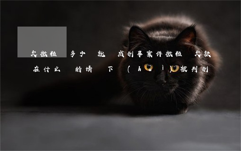 欠微粒貸多少錢就變成刑事案件(微粒貸欠款在什么樣的情況下會(huì)被判刑)
